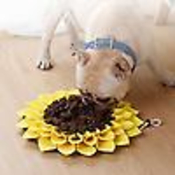 Sunflower Shape Dog Snuffle Mat Valp Training Sniffing Matningsfilt Pet Pad