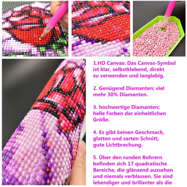 Diamond painting , 5D set för diamond painting Fullt broderi Stora bilder DIY- diamond painting ( Snö, 30x40cm),