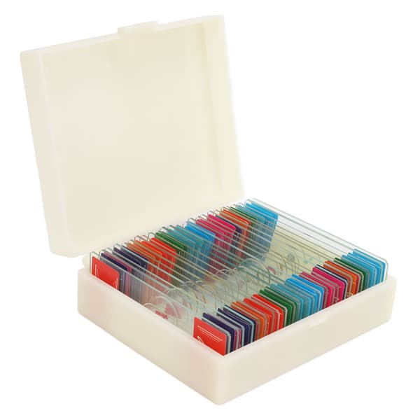 25 High Definition Biologi Undervisnings Slides Insekter Dyr Planter Prøver