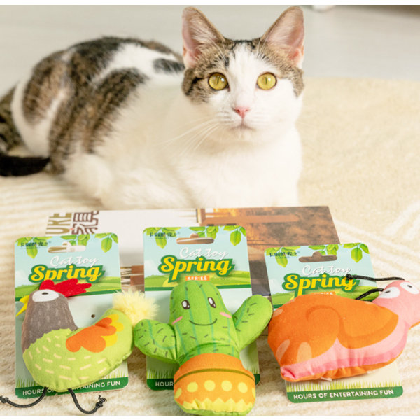 Lemmikkieläimen lelu Molar Self-Healing Artefact Pehmo kissanminttu Toy Cat tarvikkeet (9 kpl),