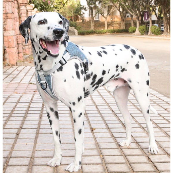 Hundväst Reflexväst för husdjur framtill, lätt att kontrollera handtaget och ryggen, mycket lämplig för daglig träning, promenader, löpning (brun, storlek XL),