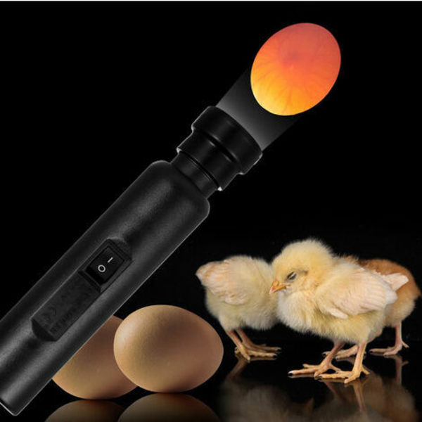 Led Light Egg Candler Tester, Incubator Warehouse Exclusive Power