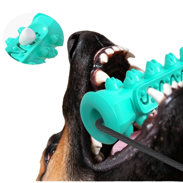 Pet Toys Dubbel sugkopp Dragsko (grön)