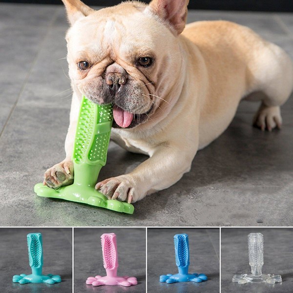 Pet Toys Hundtandborste (M Pink Dog Toothbrush)