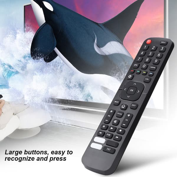 Fjärrkontroll Ersättning för HISENSE EN2X27HS TV