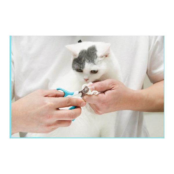 Koiran ja kissan kynsileikkuri, ruostumattomasta teräksestä valmistetut kynsileikkurit (sininen, kaareva)