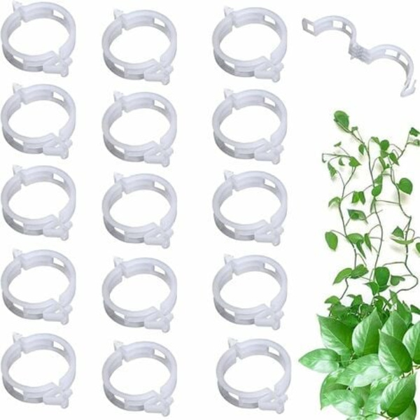 100-pack Trädgårdsväxt Knytklämmor, Slipväxter Twine Vine Spaljéburar Vine Grönsaksverktyg Ympning för att bli friskare Str.