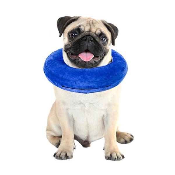 Koiran kaulapannat, valjaat ja talutushihnat, puhallettava PVC- anti-scratch naarmuuntumaton nuolemisenestopanta (XS)