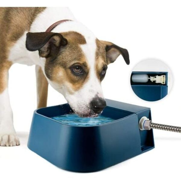 Dog Waterer Automatisk skålvattnare med flottörventil för hundhäst nötkreatur får（Innehåller inte rör）