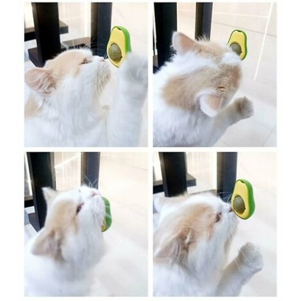 Avocado Catnip Ball Syötävät lelut kissoille Hampaiden nuoleminen Hampaiden puhdistus Hammaskissa