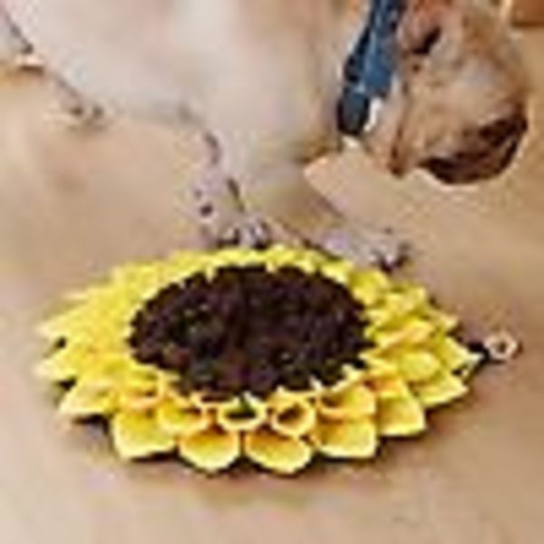 Sunflower Shape Dog Snuffle Mat Valp Training Sniffing Matningsfilt Pet Pad