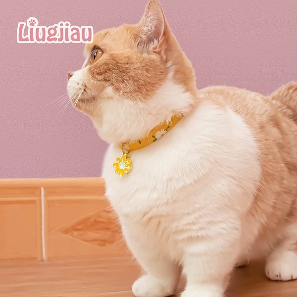 Puuvillaiset kissanpantat kelloilla, keltaisilla ja vihreillä kukilla Söpö kissanpanta Kissanpanta tytöille, pojille ja kissoille