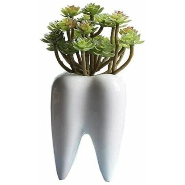 Hvite søte tannplantekrukker Sukkulente tannplantekrukker Kreative keramiske kaktuskrukker Miniblomsterplantebeholdere Som