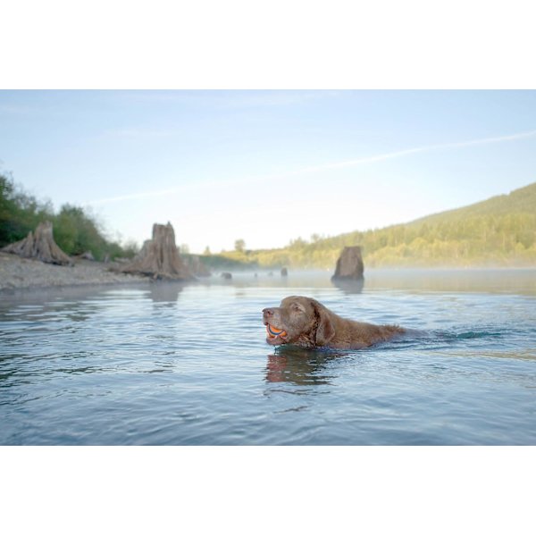 Super Ball Dog -lelu, keskikokoinen (2,5 tuumaa) 2 osaa, puremisenkestävä, interaktiivinen ääni hampaiden syntymiseen, ulkoiluttava koira