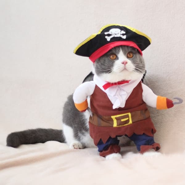 Lille Piratkostume til Katte og Hunde