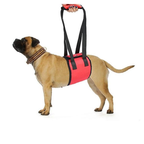 Leash Dog Belt (XBD204 Reflective Red M)