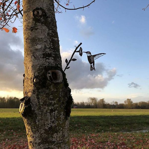 Kolibriesvale Papegøje Metal Fuglestatue Kunst Silhuet Dekoration Havegård Trædekoration Landskab Fuglehåndværk