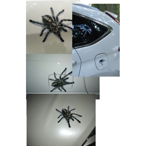 Spider bil klistremerke 3d stereo bil klistremerke dørdekorasjon (simulering ny edderkopp/transparent materiale/20cm)