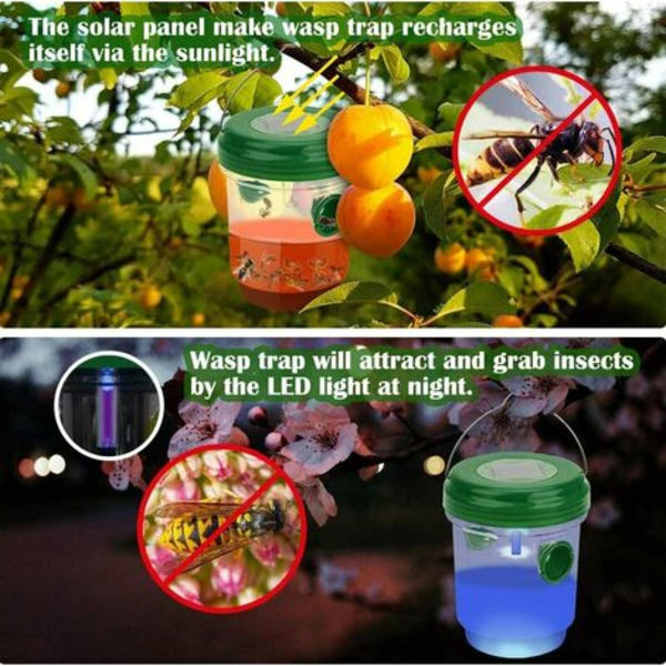 Packa soldriven hängande getingfälla med LED-ljus Giftfri bee Killer Återanvändbar grön