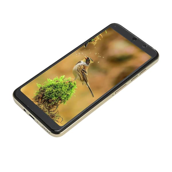 6.1\" Android 11 Smartphone - MT6889 Ten Core, 7000mAh, 16MP Kamera, 4GB+64GB, Guld