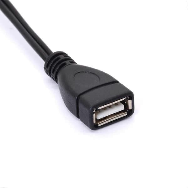 USB til RCA-kabel, USB A 2.0 hun til 2 RCA hanstik, Audio Video AV Y-splitter (1,5m)