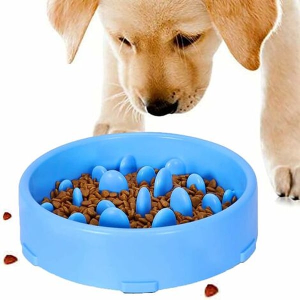 Langsomt fodring skridsikkert design Sjov interaktiv foderskål til katte og hunde, fremmer sund kost og langsom fordøjelse (Blu