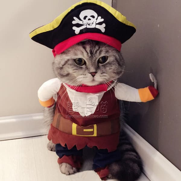 Liten piratkostym för katter och hundar