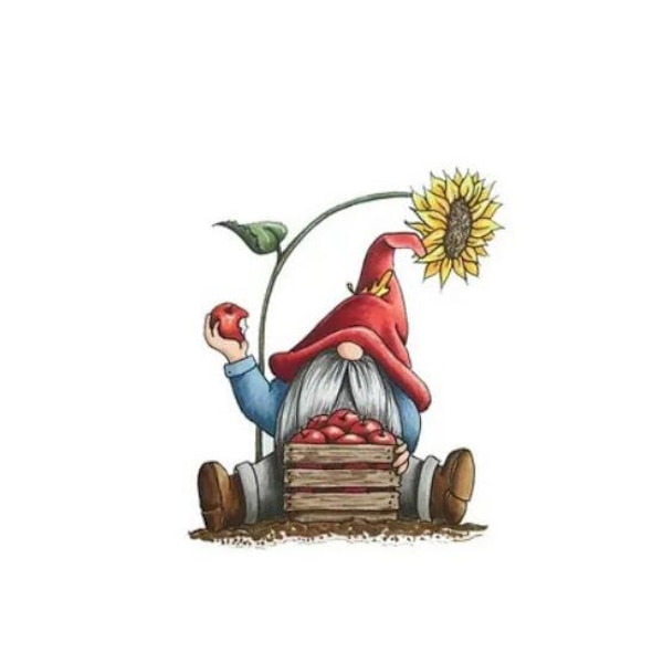 Dwarf 5D diamond painting (30*40 cm) K