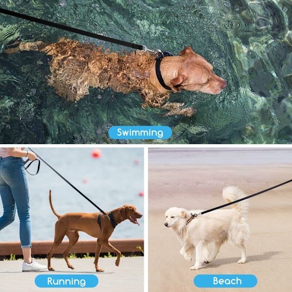 Hundesnor? 15m, hundetræningssnor til små til store hunde