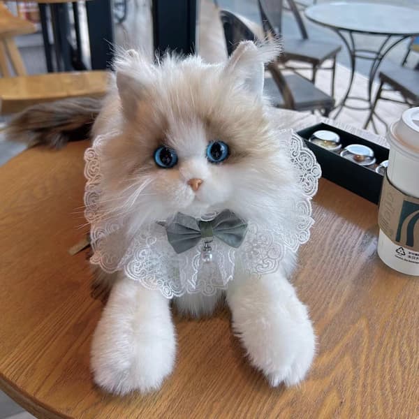 Realistisk katteplyslegetøj – Ragdoll kattebamse gaveæske med børstekort *Standardmodel* Standard model
