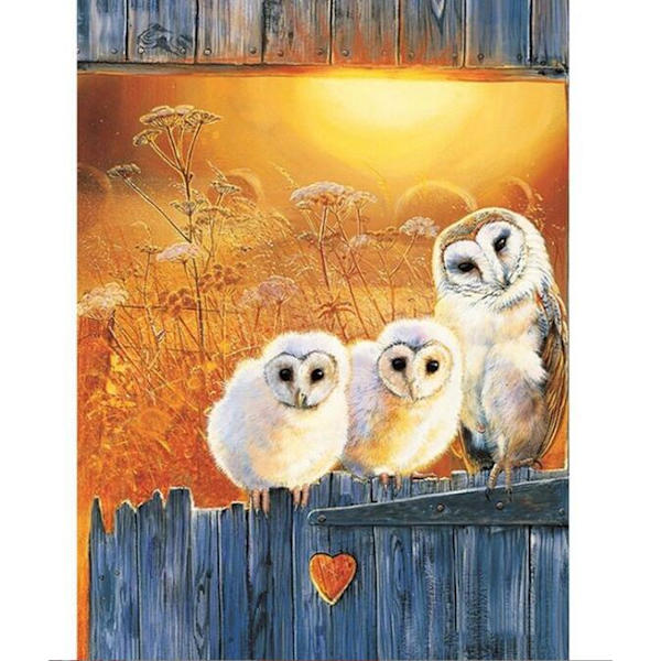 Kolme pöllöä diamond painting (40x50cm)