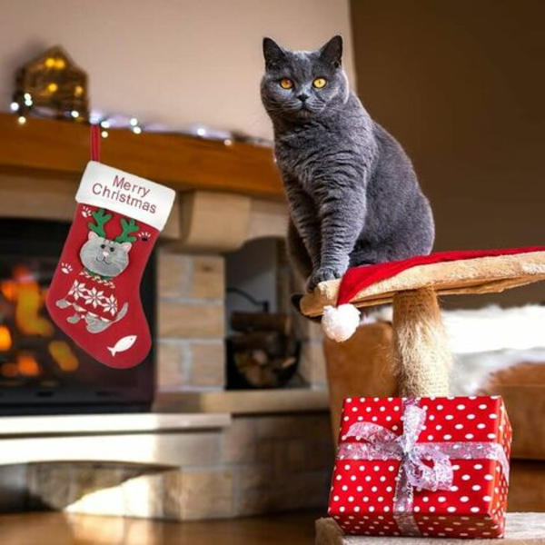 Pet Cat Julstrumpor 3D Stickad Röd Julstrumpa för katt, Xmas Öppen spis Hängande julstrumpa dekoration