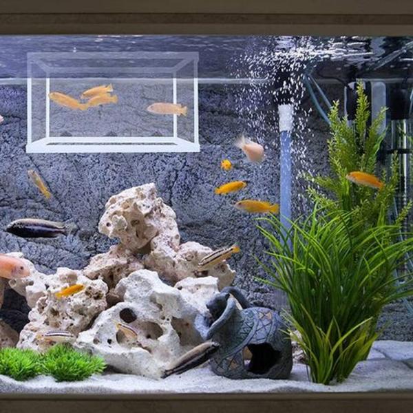 1 stykke gydeboks, isoleringsnet til akvarier, akvariefiskrugemaskine, velegnet til akvarier, isolere frøplanter