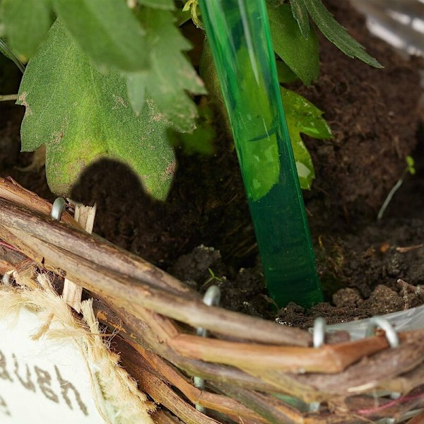 4 store automatiske blomstervandingskander Hjem Nedsivning Blomsterkugle Irrigator 8cm Grøn