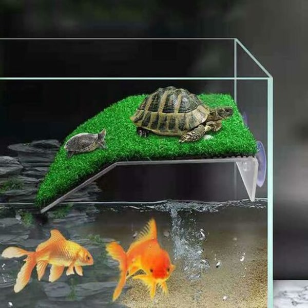 Turtle Aquarium Simulation Nurmikko Platform Turtle Rest EcchMatelija Ramppi Kilpikonnat Sammakot Newts Salamanterit Nurmikko Relaxation De