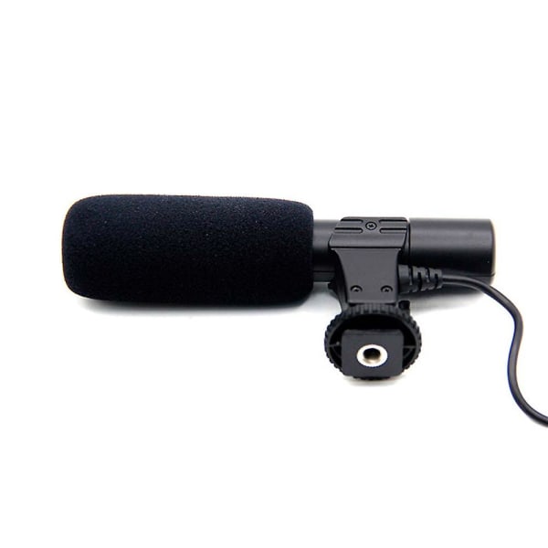 Mikrofon-Kamera DV Stereo, Interview Nyhedsoptagelse