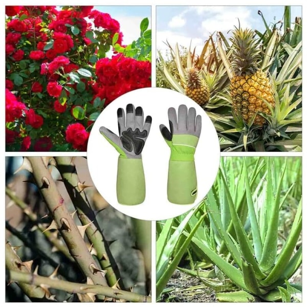 Lange rørbeskyttelseshandsker grønne grøntsags- og blomsterhavehandsker med rosetalje arbejdsbeskyttelse