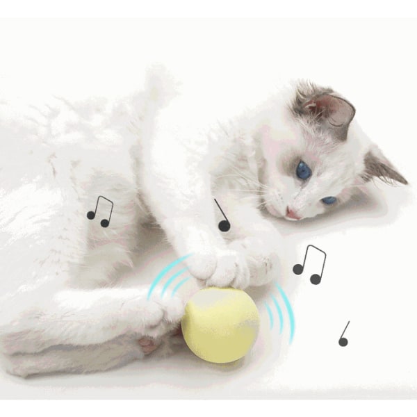 Den magiske gravitasjonen kalt ballen, anti-kjedelige forsyninger for katter, morsom katt mynte ball leketøy (ull, blå),