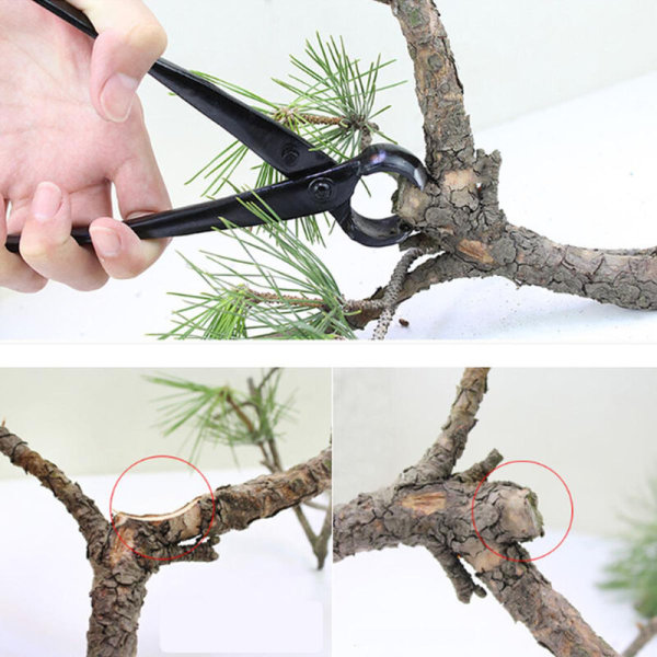 Ammattimainen puutarhanhoito mallinnus huoltotyökalut bonsai pallonivelsakset pyöreäsuu pihdit ruukkupuun puun karsiminen