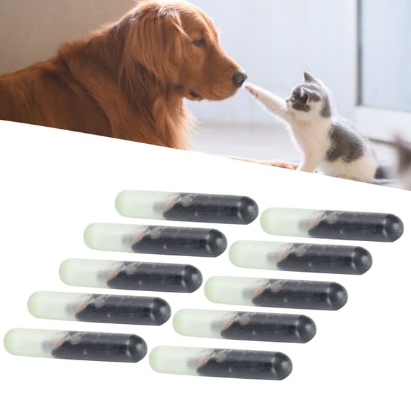10-pack 2,12 mm standard glasdjurchipsset för djuridentifiering