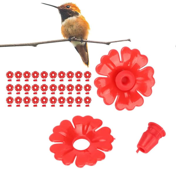 Udskiftning af kolibrifoder, 30 sæt kolibrifoderblomster Hængende fuglefoderporte Udskiftningsdele Haveartikler Rød