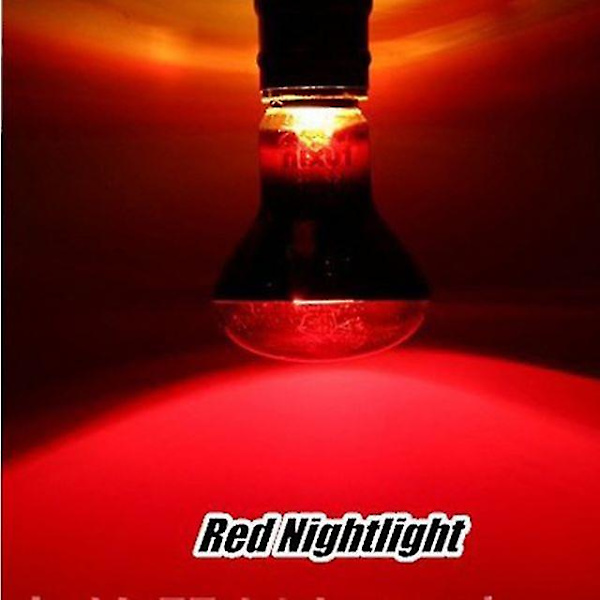 Krybdyrskildpadde Amfibie Night Light Infrarød Lampe
