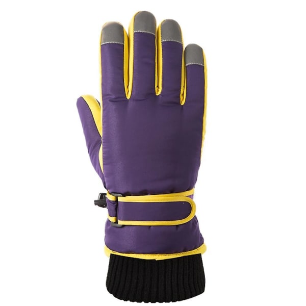 Miesten Omid Snow Gloves 3m Uudet Shirley Moottorikelkkahanskat purple for women