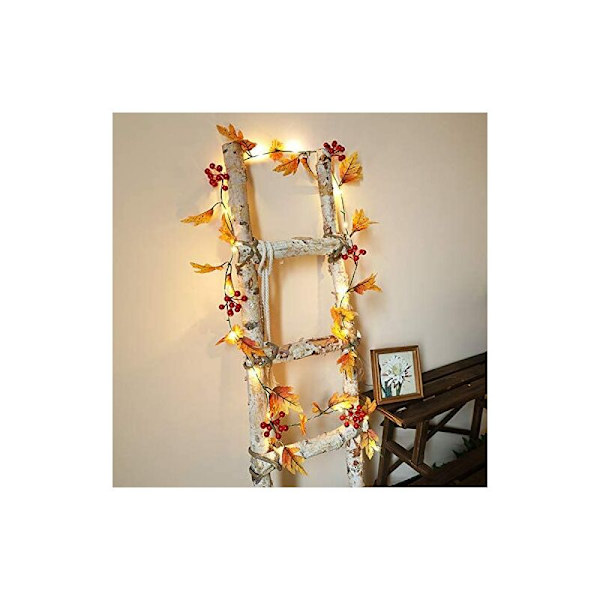 2 meter 20 lys ahornblad rød frugt kobbertråd model varm hvid led batteri model ahorn blad snor lys ny rattan frugt kobber tråd lampe,