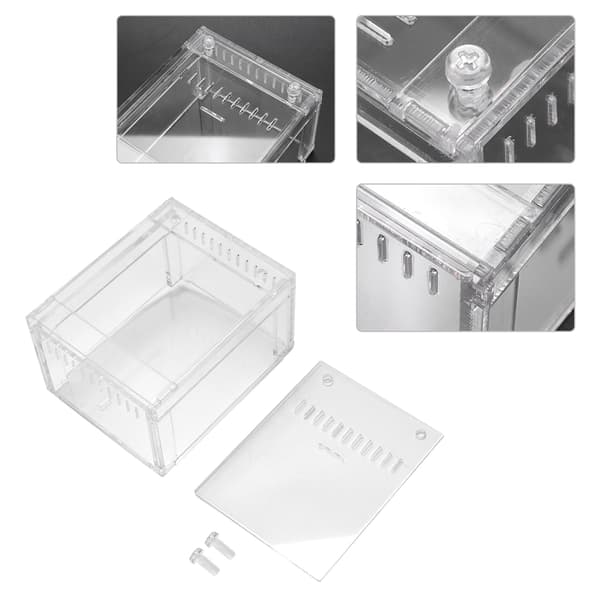 Transparent Akryl Reptilterrarium för Orm- och Sköldpaddsavel