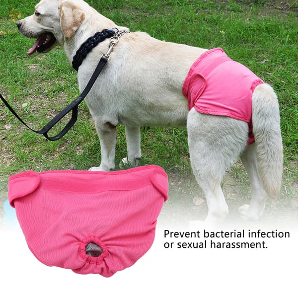 Sanitetsblöja för husdjur Rosa S Hund Polyesterbyxor Valpunderkläder