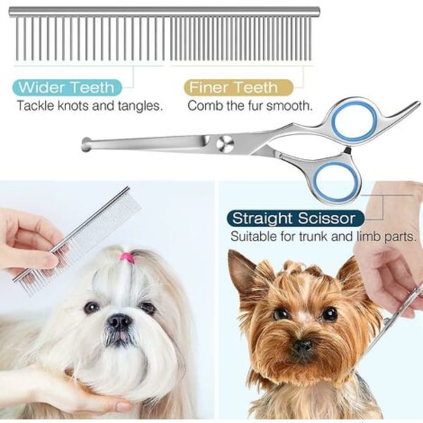 Dog Grooming Scissors Kit Professionell säkerhetssax Rosa kam