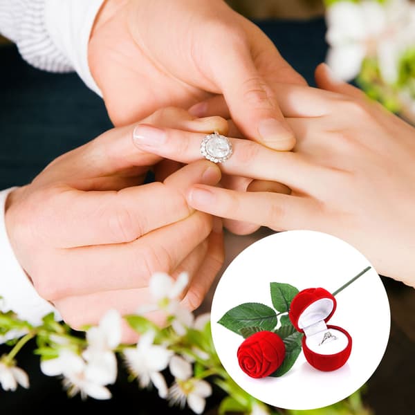 Romantisk rød rose ringæske perfekt til Valentinsdag smykker og øreringe