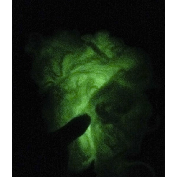 Halloween dekorasjonslokale Layout Graveyard Layout Spider Cotton Luminous Cobweb (200g Luminous Cotton + 6 Edderkopper)