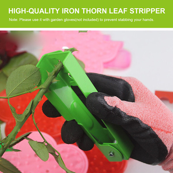 Blomsterhandler Special Rose Torn Remover